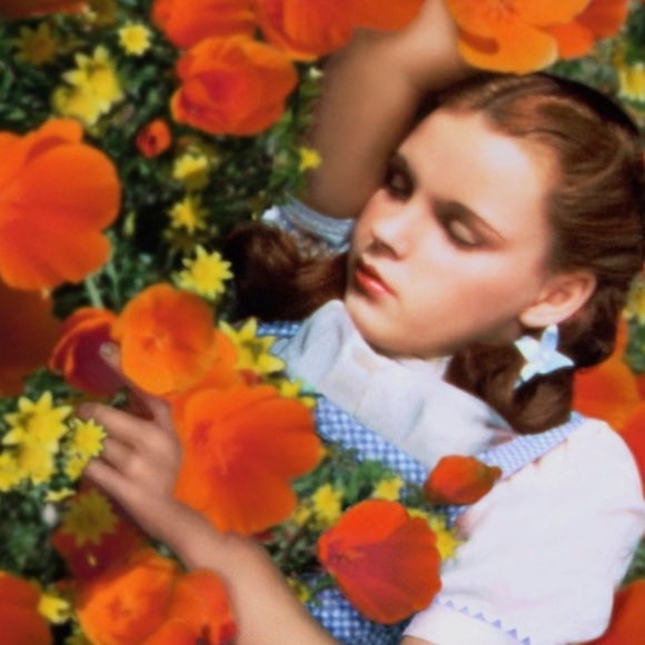 Meet your Posher, Wesley - Picture 1 of 1